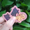 20250330_111733.webp