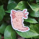 20250330_111538.webp