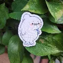 20250330_111515.webp