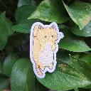 20250330_111525.webp