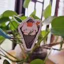 20230403_123242.webp