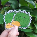 20250330_112232.webp