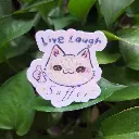 20250330_141352.webp