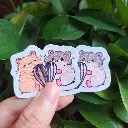 20250330_111903.webp