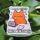 20250331_110446.webp