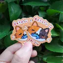 20250330_141616.webp