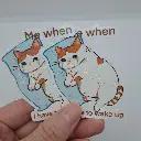 20250329_222419.webp