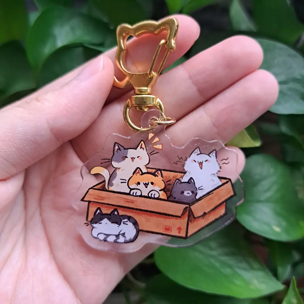 Box of kittens
