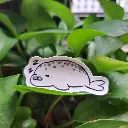 Lying seal
