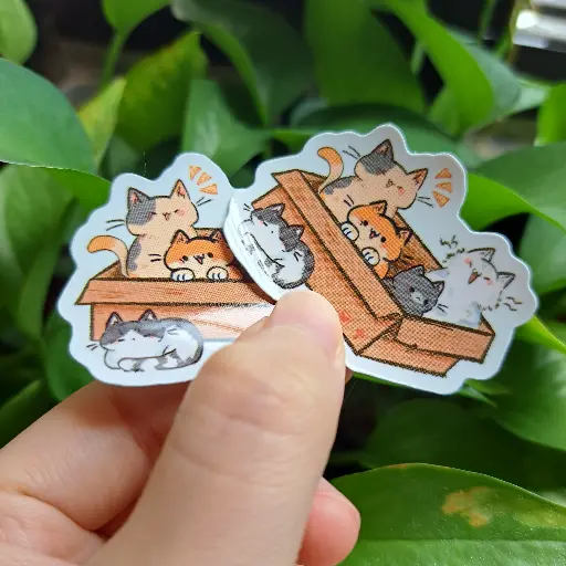 Assorted Cats