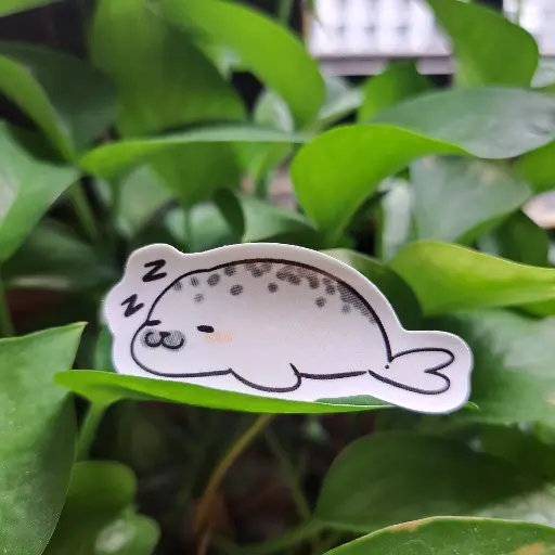 Lying seal